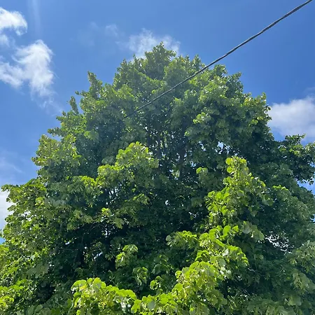 Casa Mareal 別荘 パリウリ