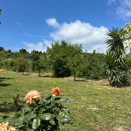 Casa Mareal * باليوري