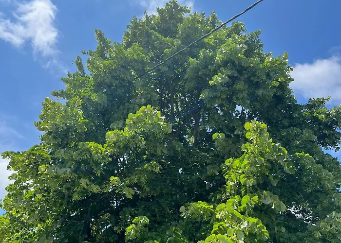 Casa Mareal Сasa de vacaciones Paliouri