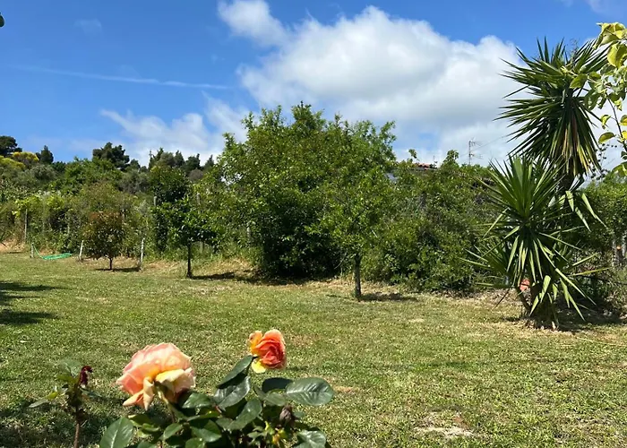 Casa Mareal * Paliouri