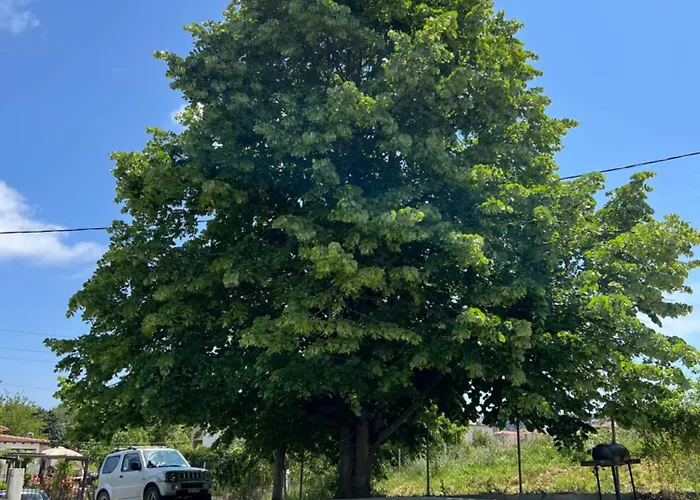 Сasa de vacaciones Casa Mareal *