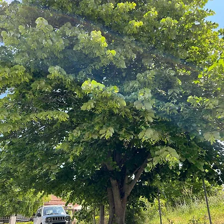 Dom wakacyjny Casa Mareal *